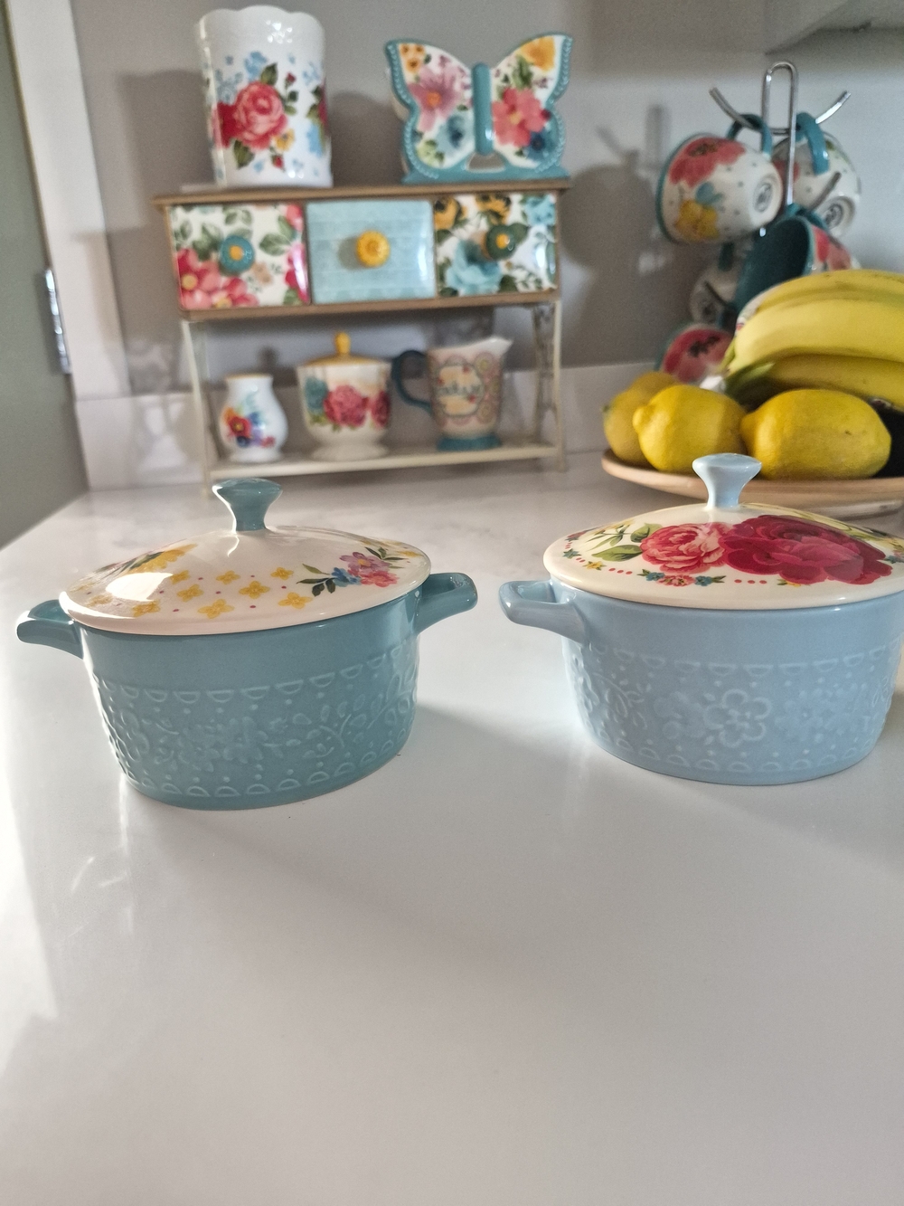 The Pioneer Woman 2-Piece Mini Casserole Dish Set with Lids - HTF Discontinued